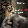 nim_bus