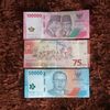 kacanglupakulitnya23