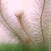 wrkhrdplyhrd_1402