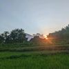 osengbaot