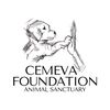 cemeva_foundation_org