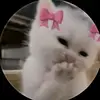 l_l_l_1_j