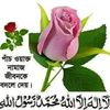 user1558167814341