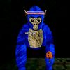 kfirvr_gorillatag