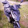 bocah.kroco3