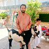 abdullah.gondal506