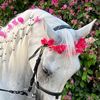 user1959680630030