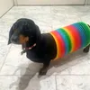 ilovedachshunds834