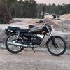 rx.king123452