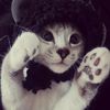 ddyv_a