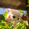 fatemeh70208