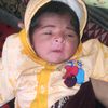 iam.qeeniam.51