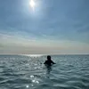 hiraa_367