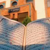 taw7ed_1431