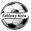 ahlawy_top1