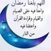 bushra.abdiwxd