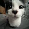sasha_sooooo