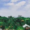 feyang_zjs