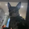okhjqw10