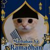 pp..kucing..ramadhan