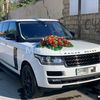 asgeows_10