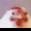 theob723