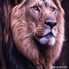 mike.alpha.25