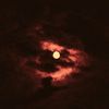 tirtalee88darkredd