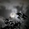 y_y5hh3