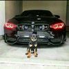 hamidmoussaoui709