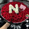 nima.hassan17