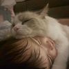 hagoora_555