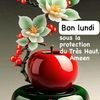 user13727128832018