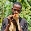 godfrey_cats_rescue