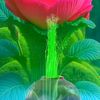 jemal.offishal