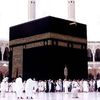 halima.alaa2