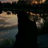 _vides_7