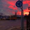 otto.__2
