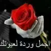 nady.salama2