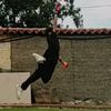 tomas_p2011