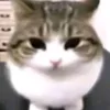 belsk_0
