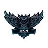bkn_layangan2