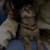 thesouloffall5