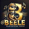 Beelecluboficialchile