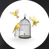 birdland_band