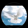 acostyusnel_2