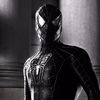 marcox_482