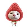 strawberry.pink_518