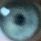 ydk_liam1234