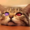 uchiha_shadow_